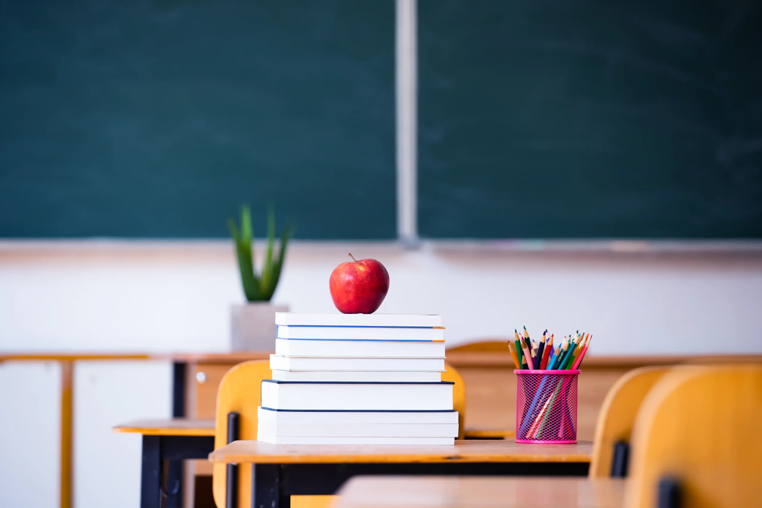 Escolas Neuroinclusivas